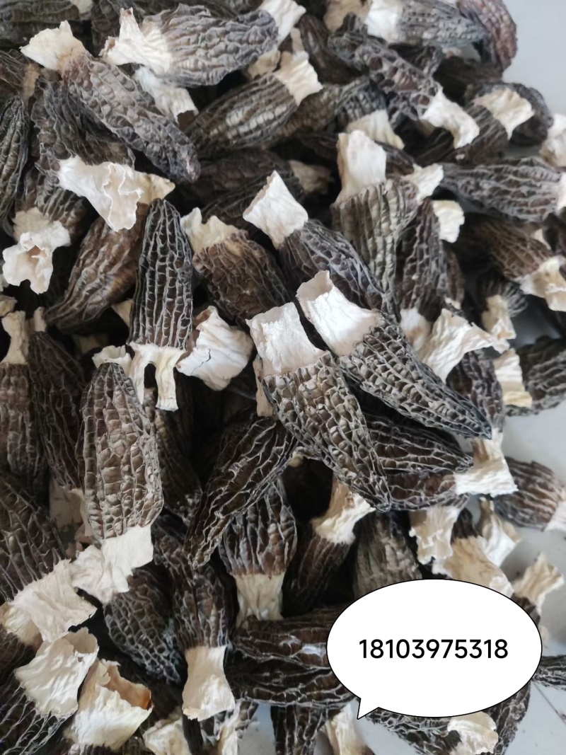 羊肚菌头茬干货现货