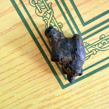 黑色的鸡宝