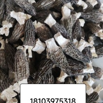 头茬个大肉厚羊肚菌，农户直销，没有中间商差价