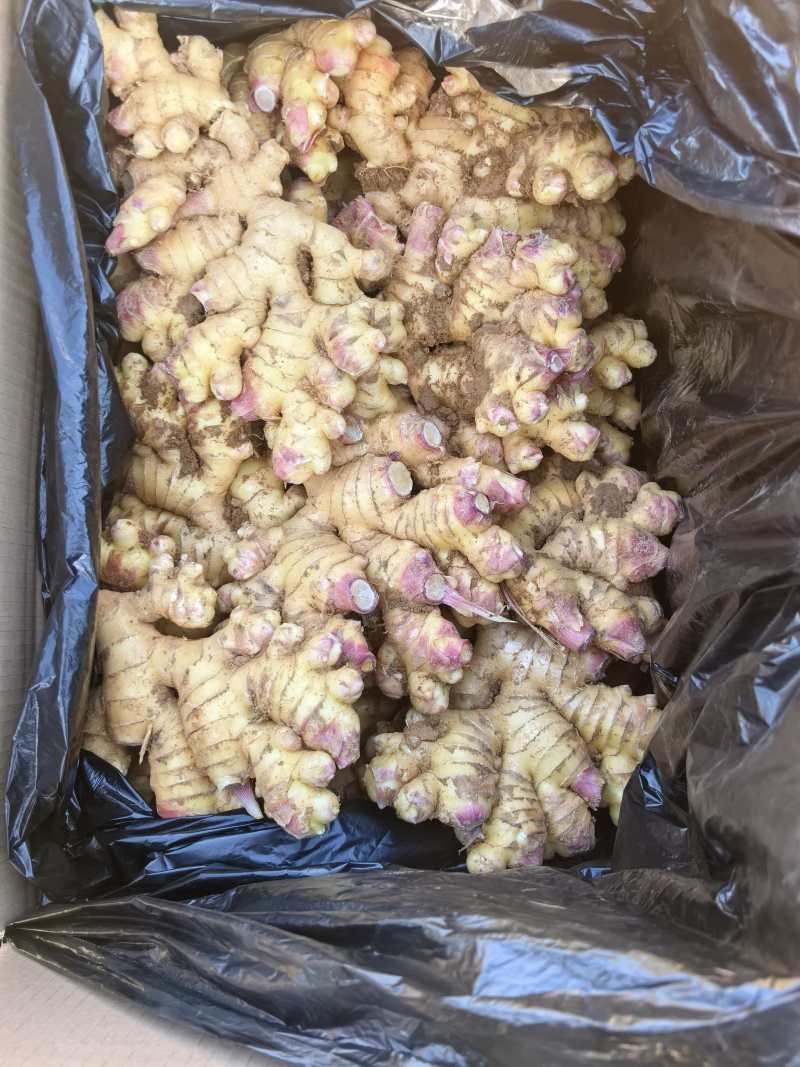 贵州二黄姜