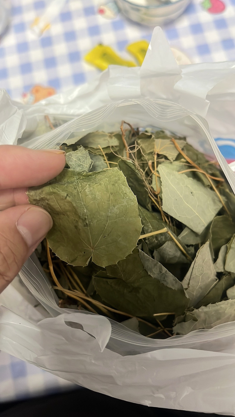 秦岭野生淫羊藿三枝九叶草正品正宗小叶羊霍叶仙灵脾