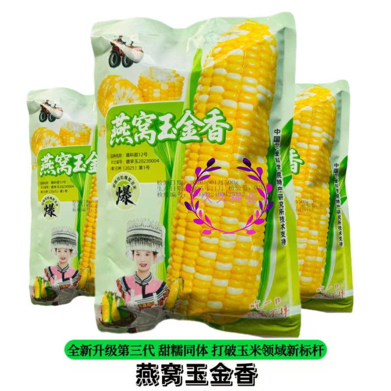 燕窝玉金香玉米种子****5甜5糯全新第三代甜糯同体玉米