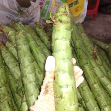 贡菜鲜货