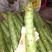 贡菜鲜货