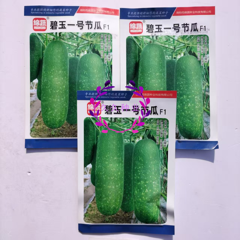 碧玉一号节瓜种子早中熟深绿皮小冬瓜种子圆筒形小节瓜种子
