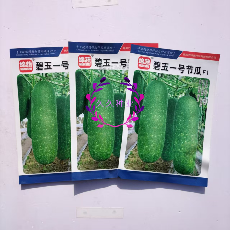 碧玉一号节瓜种子早中熟深绿皮小冬瓜种子圆筒形小节瓜种子