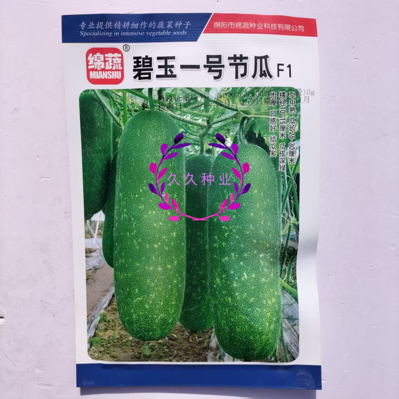 碧玉一号节瓜种子早中熟深绿皮小冬瓜种子圆筒形小节瓜种子