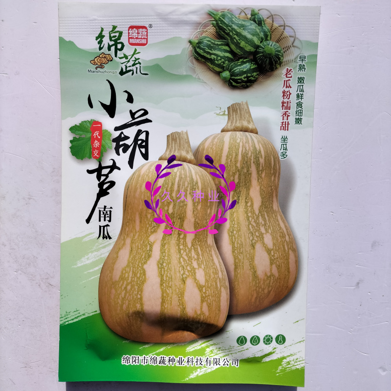 绵蔬小葫芦早熟南瓜种子坐果能力强种子少瓜肉橙红色南瓜种子