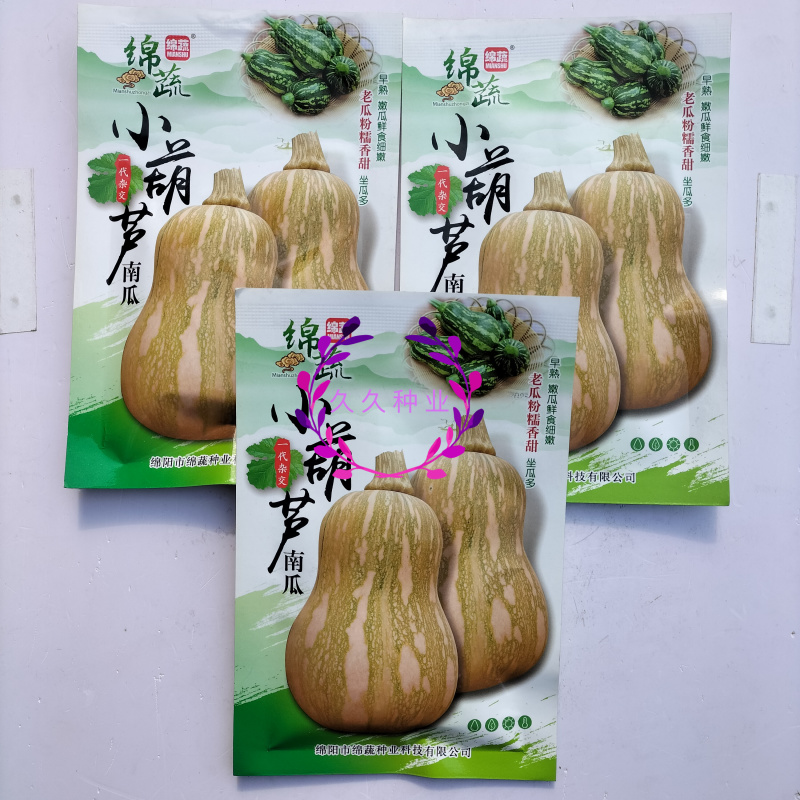绵蔬小葫芦早熟南瓜种子坐果能力强种子少瓜肉橙红色南瓜种子