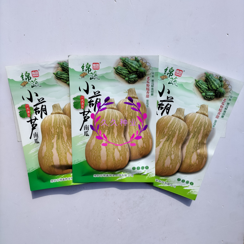 绵蔬小葫芦早熟南瓜种子坐果能力强种子少瓜肉橙红色南瓜种子