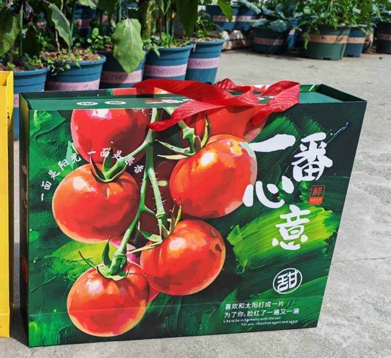 梦想千禧