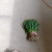 红根蒜苗