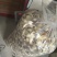 浦北陈皮大量现货，价格美丽品质好FEB253985545