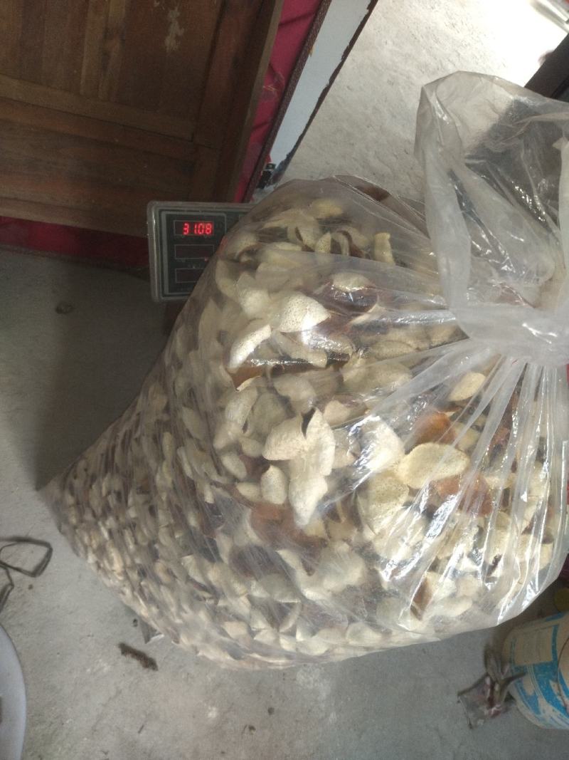 浦北陈皮大量现货，价格美丽品质好FEB253985545