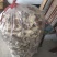 浦北陈皮大量现货，价格美丽品质好FEB253985545