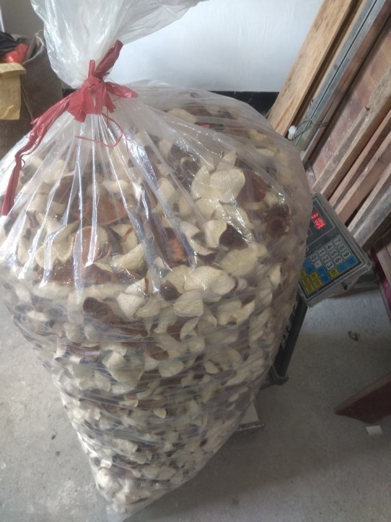 浦北陈皮大量现货，价格美丽品质好FEB253985545