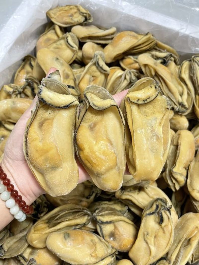 熟晒广东台山金蚝，均匀，饱满肥美，8成干，顺丰冷链配送