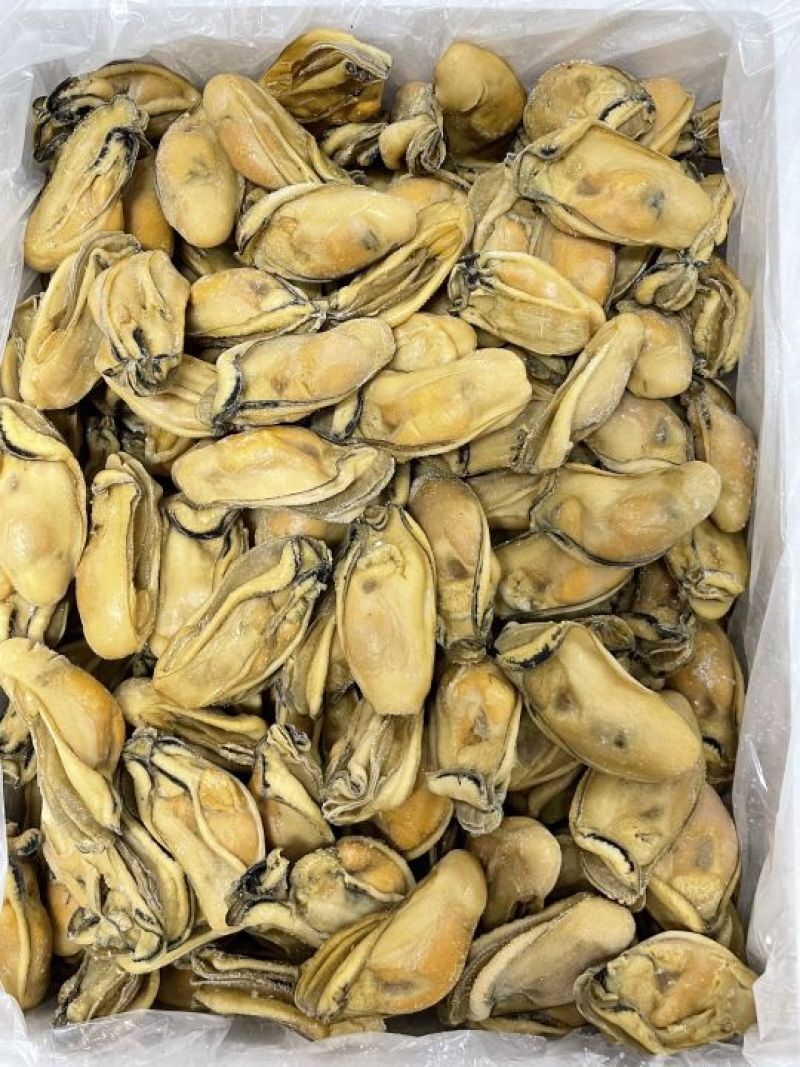 熟晒广东台山金蚝，均匀，饱满肥美，8成干，顺丰冷链配送