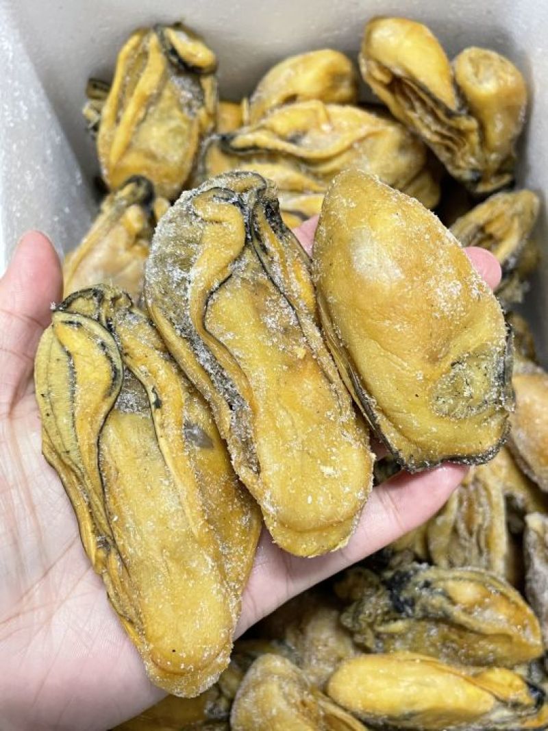 熟晒广东台山金蚝，均匀，饱满肥美，8成干，顺丰冷链配送