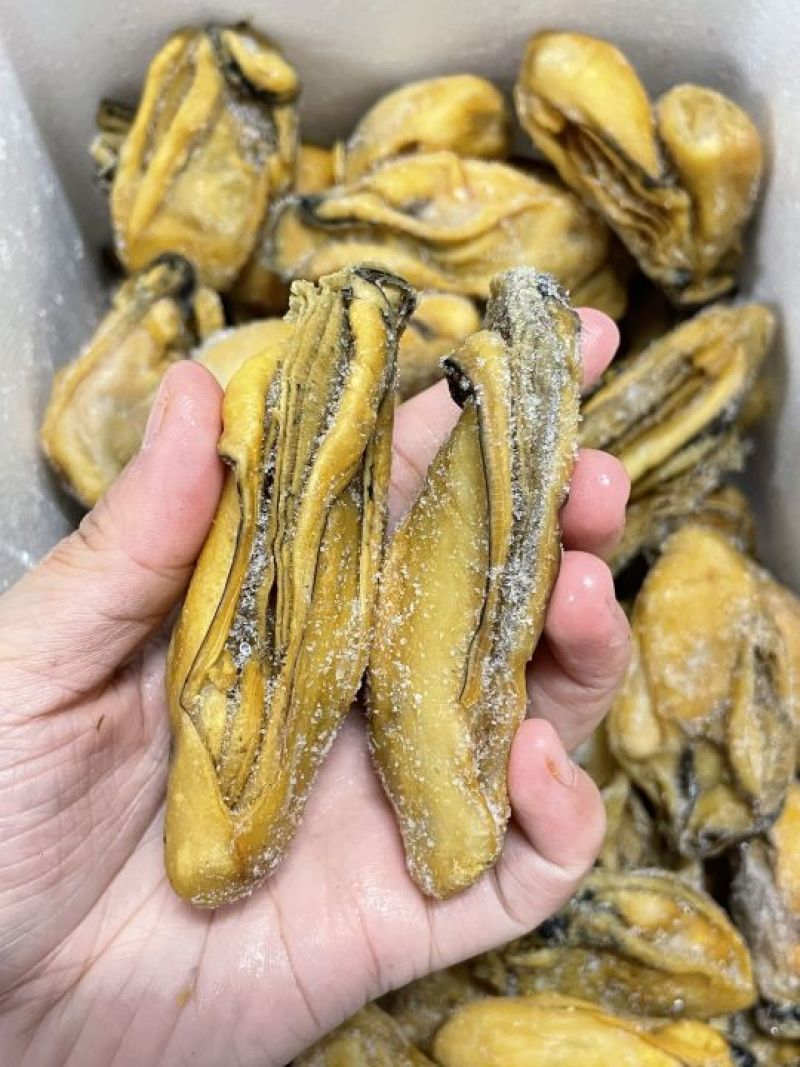 熟晒广东台山金蚝，均匀，饱满肥美，8成干，顺丰冷链配送