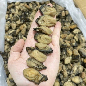 福建蚝干，珠蚝，95干左右，香味浓鲍满，顺丰冷链配送