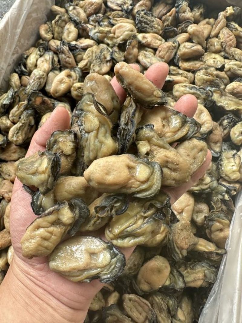 福建蚝干，珠蚝，95干左右，香味浓鲍满，顺丰冷链配送