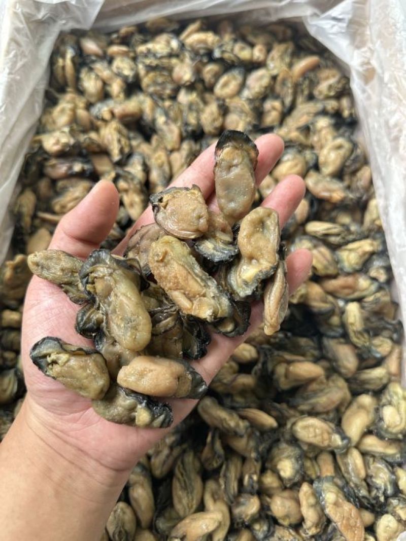福建蚝干，珠蚝，95干左右，香味浓鲍满，顺丰冷链配送