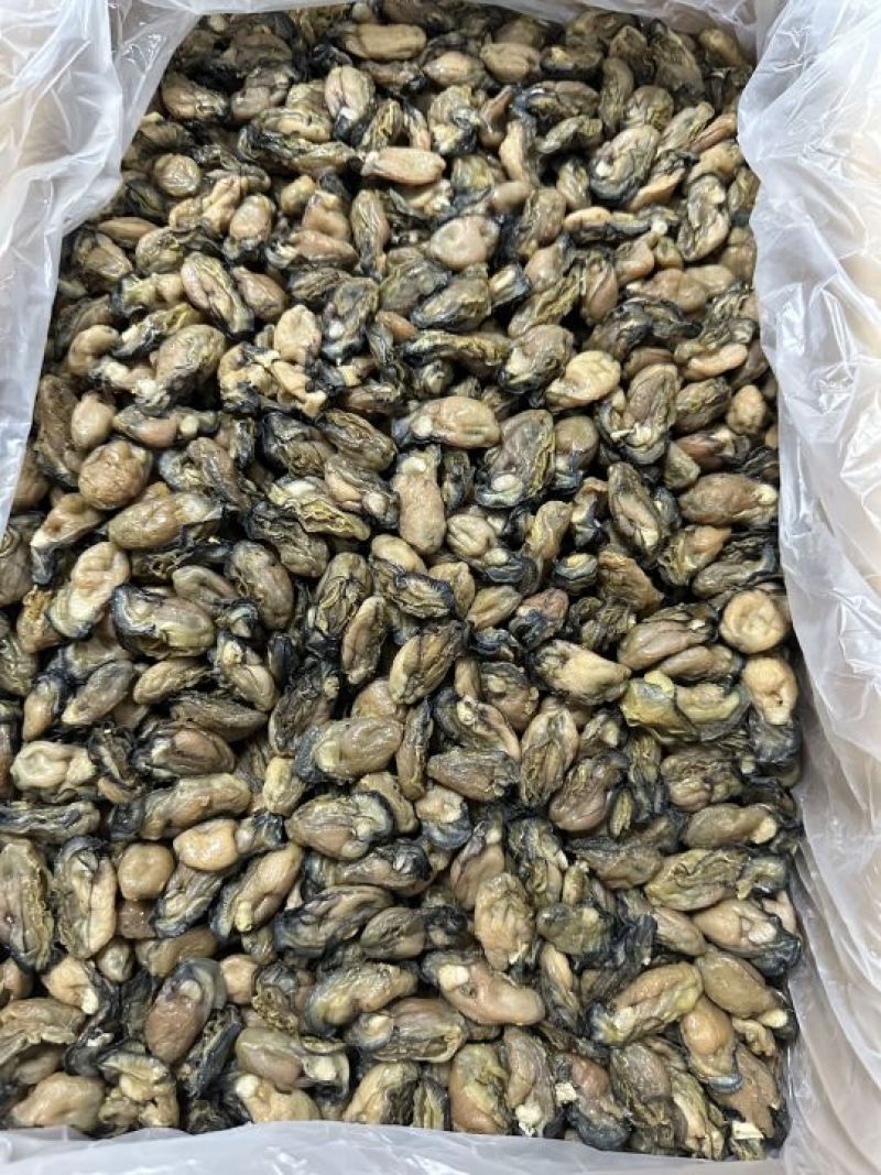 福建蚝干，珠蚝，95干左右，香味浓鲍满，顺丰冷链配送