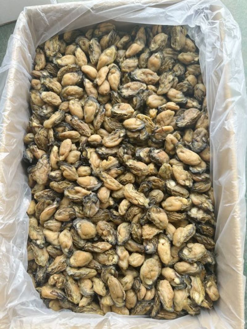福建蚝干，珠蚝，95干左右，香味浓鲍满，顺丰冷链配送