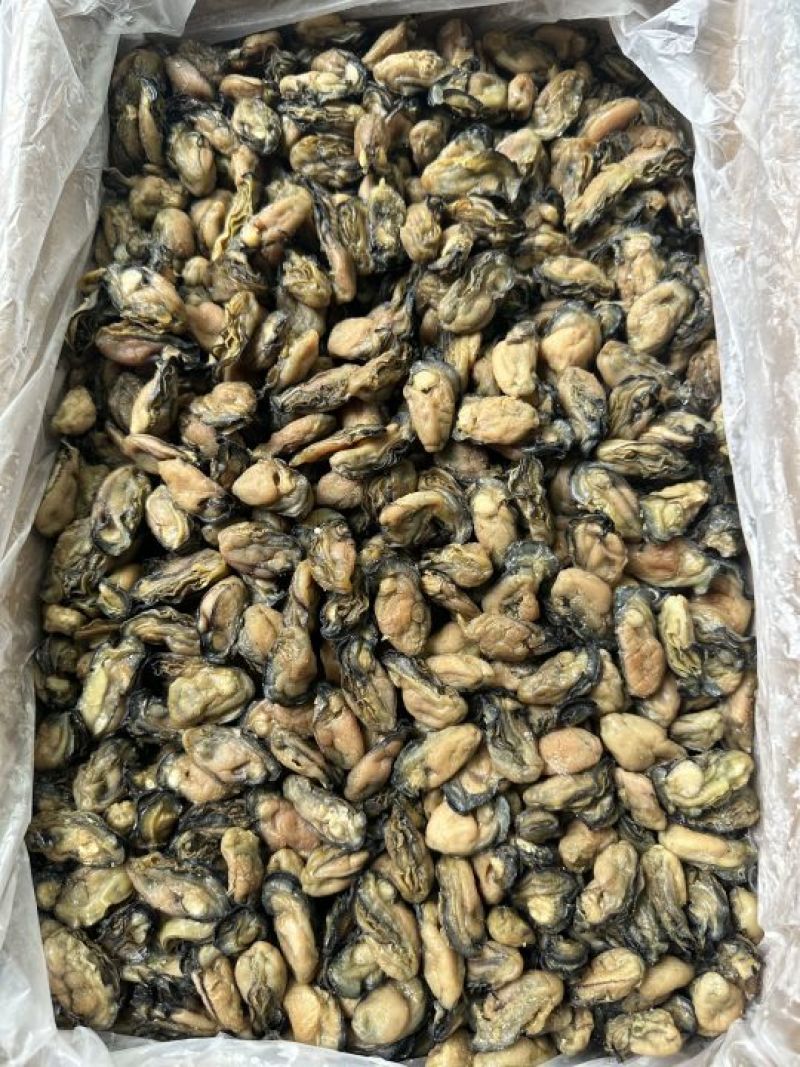 福建蚝干，珠蚝，95干左右，香味浓鲍满，顺丰冷链配送