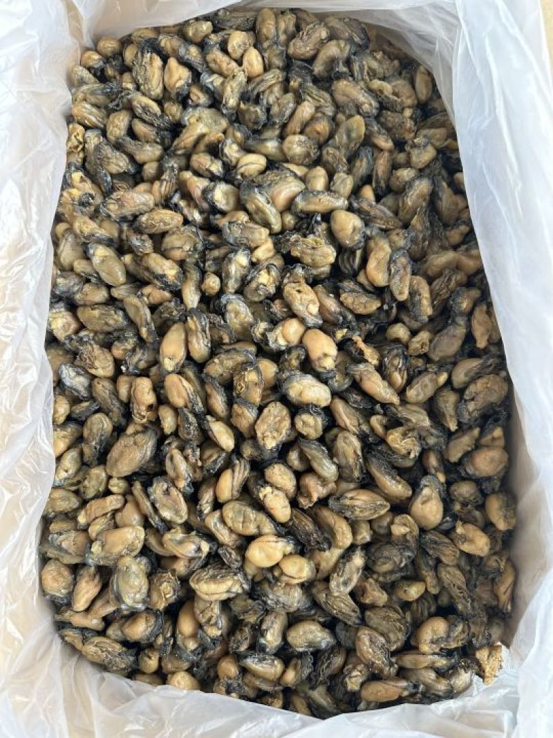 福建蚝干，珠蚝，95干左右，香味浓鲍满，顺丰冷链配送