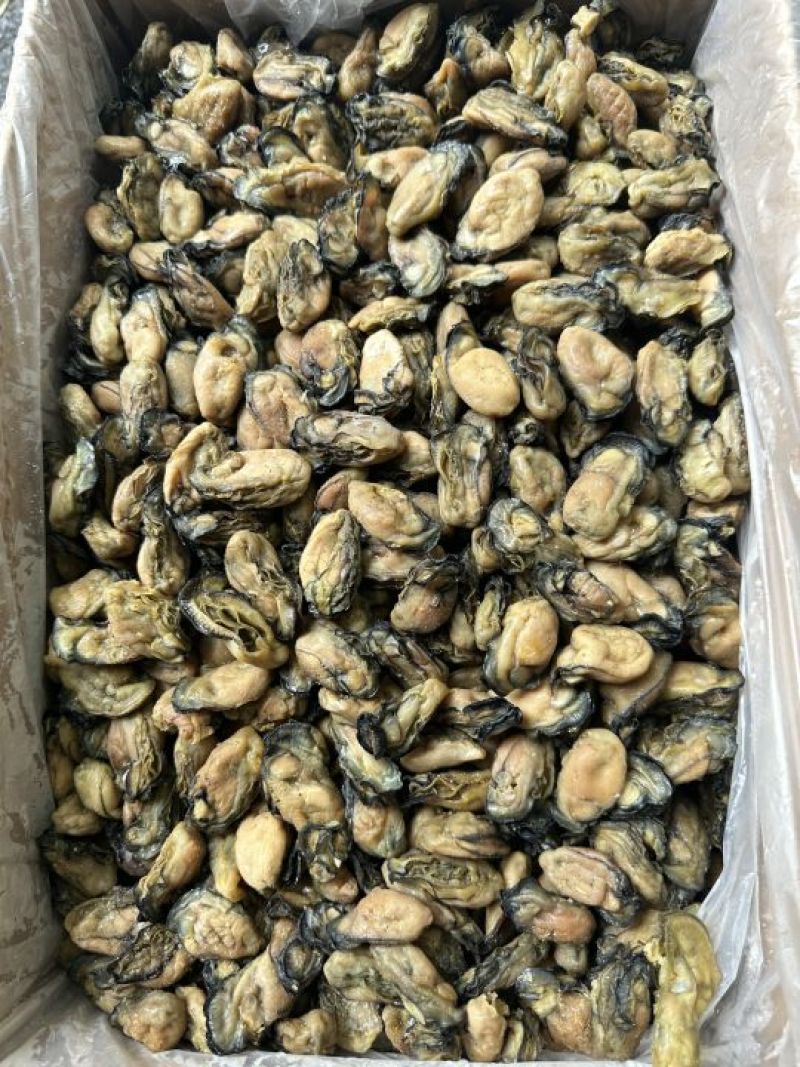 福建蚝干，珠蚝，95干左右，香味浓鲍满，顺丰冷链配送