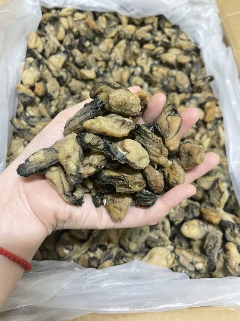 福建蚝干，珠蚝，95干左右，香味浓鲍满，顺丰冷链配送