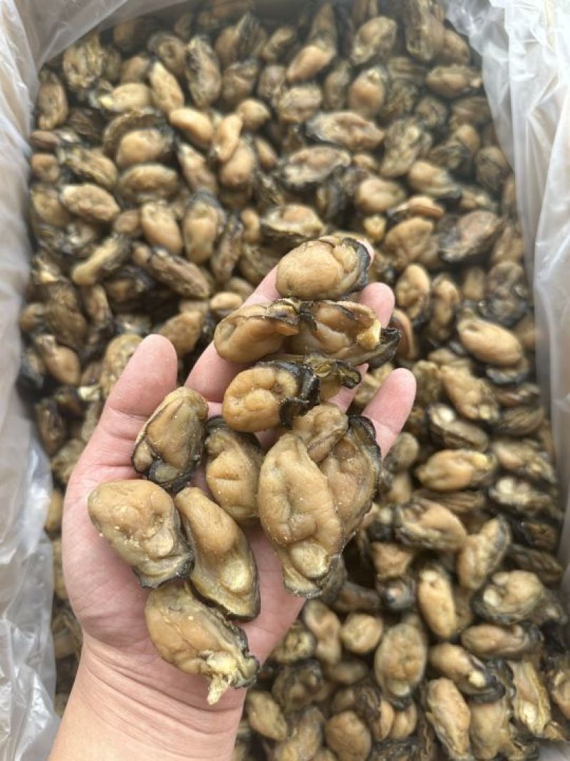 福建蚝干，珠蚝，95干左右，香味浓鲍满，顺丰冷链配送