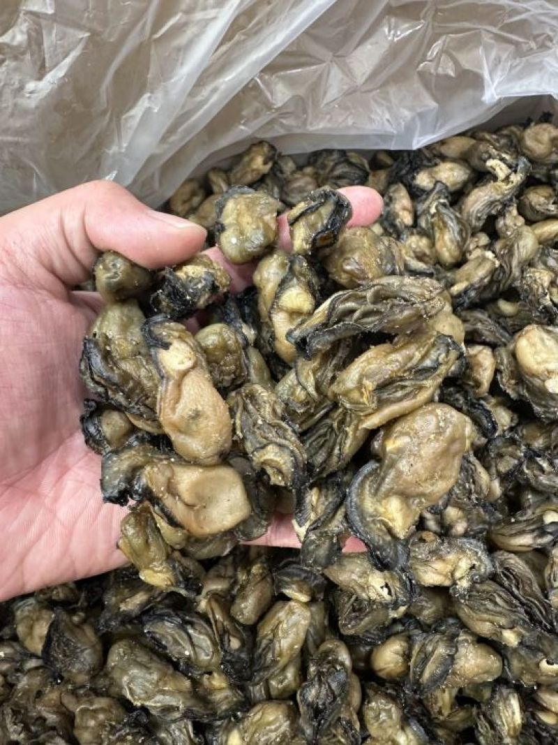 福建蚝干，珠蚝，95干左右，香味浓鲍满，顺丰冷链配送