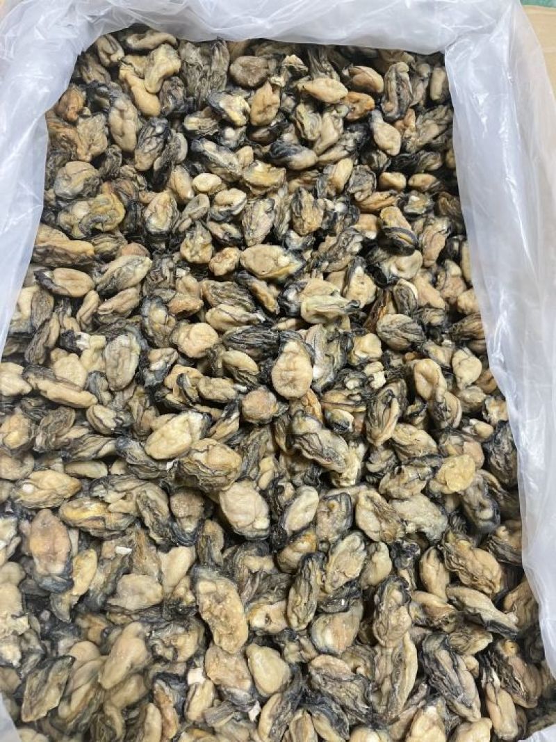 福建蚝干，珠蚝，95干左右，香味浓鲍满，顺丰冷链配送