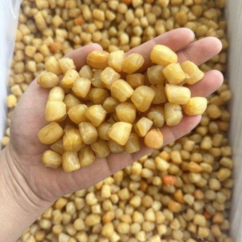 95干机加工大连干贝、瑶柱，烘干货，95干，粒头均匀