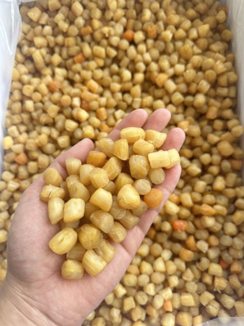 95干机加工大连干贝、瑶柱，烘干货，95干，粒头均匀