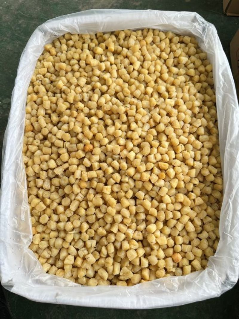 95干机加工大连干贝、瑶柱，烘干货，95干，粒头均匀