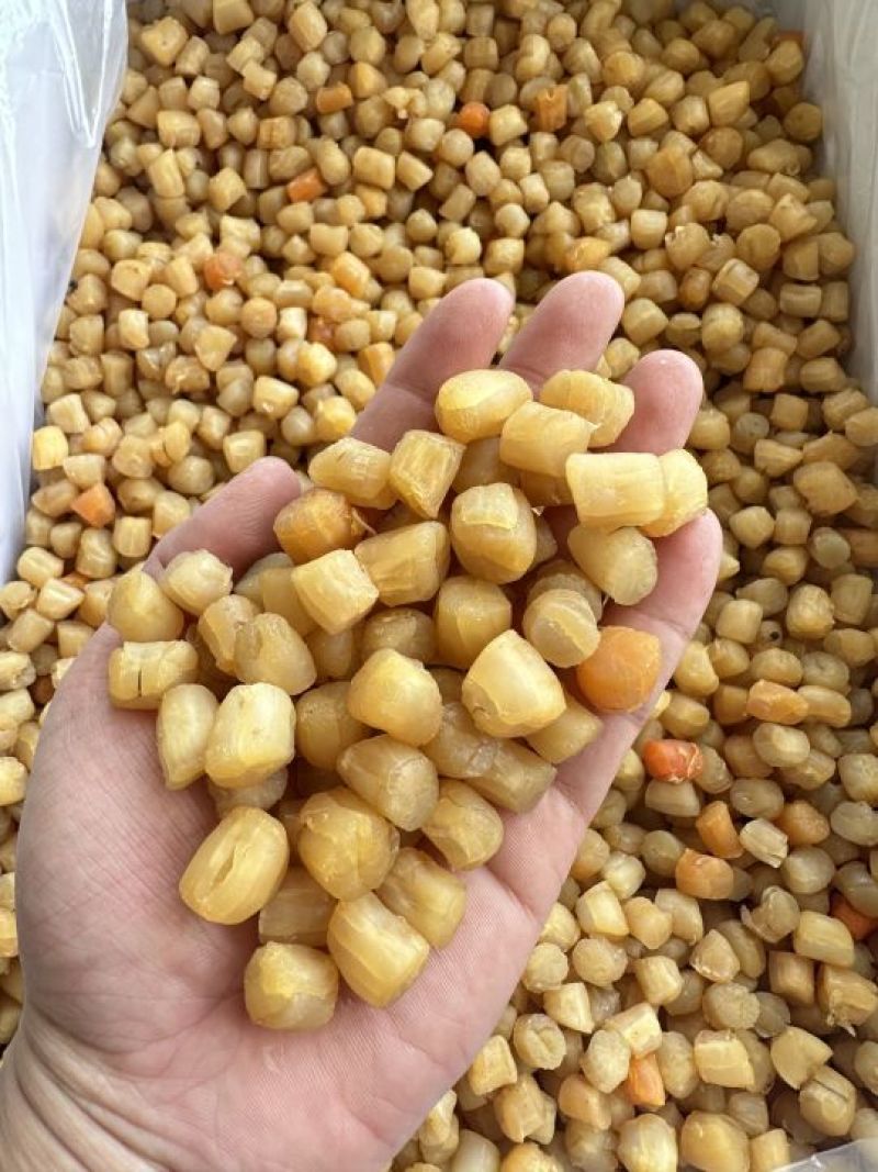 95干机加工大连干贝、瑶柱，烘干货，95干，粒头均匀
