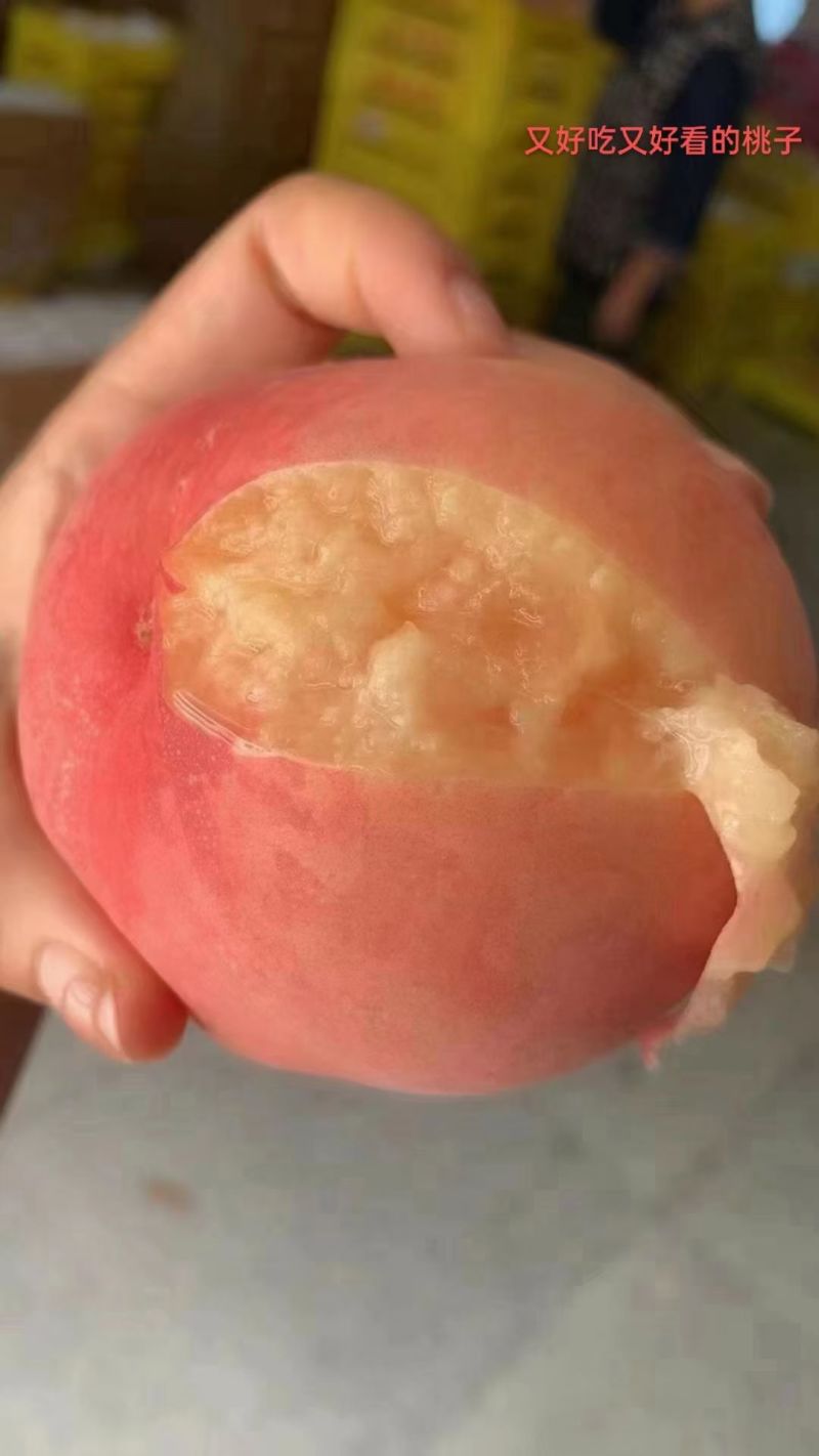水蜜桃