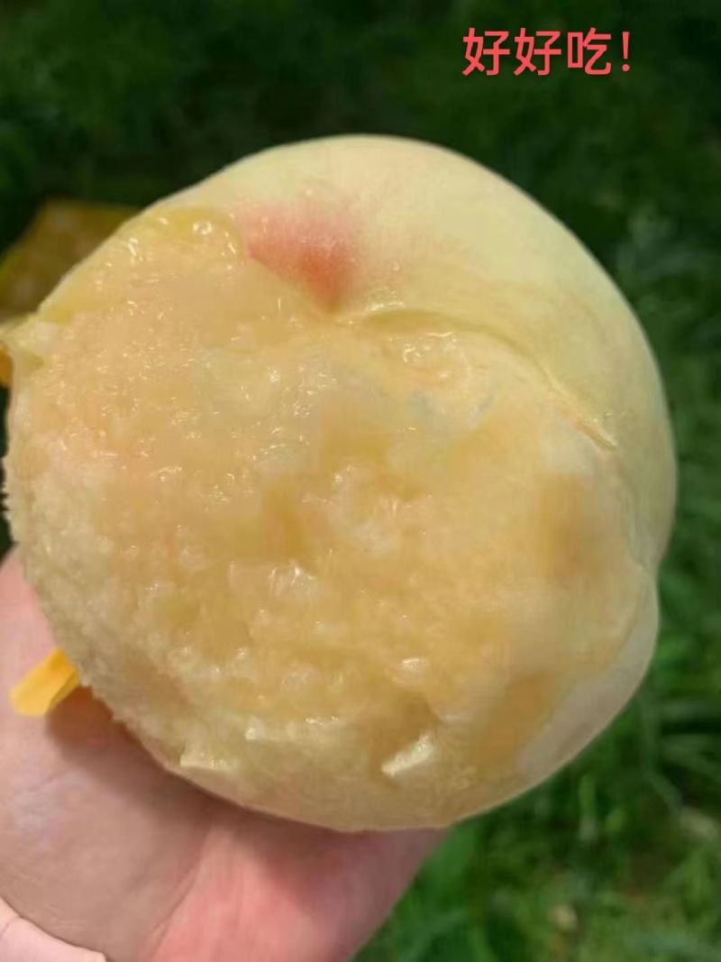 水蜜桃