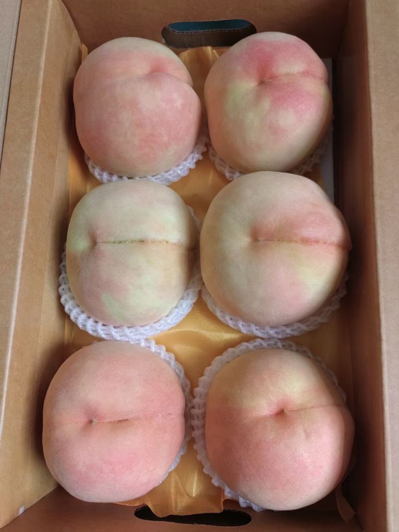 水蜜桃