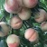 水蜜桃