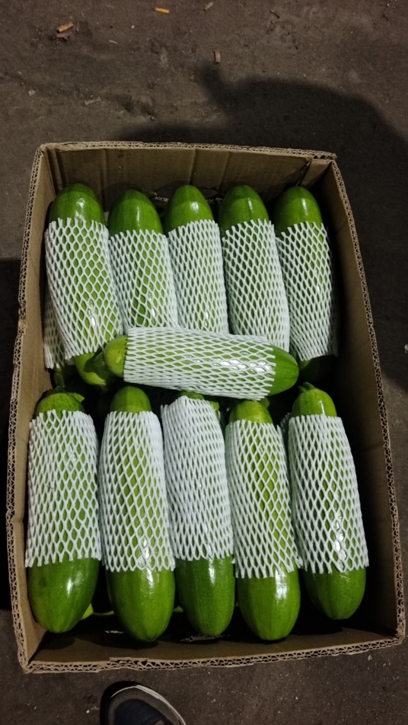 【实力商家】产地直发【对接超市】货量充足【价格合理】西葫