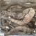 桂林华江深山野生白玉山药