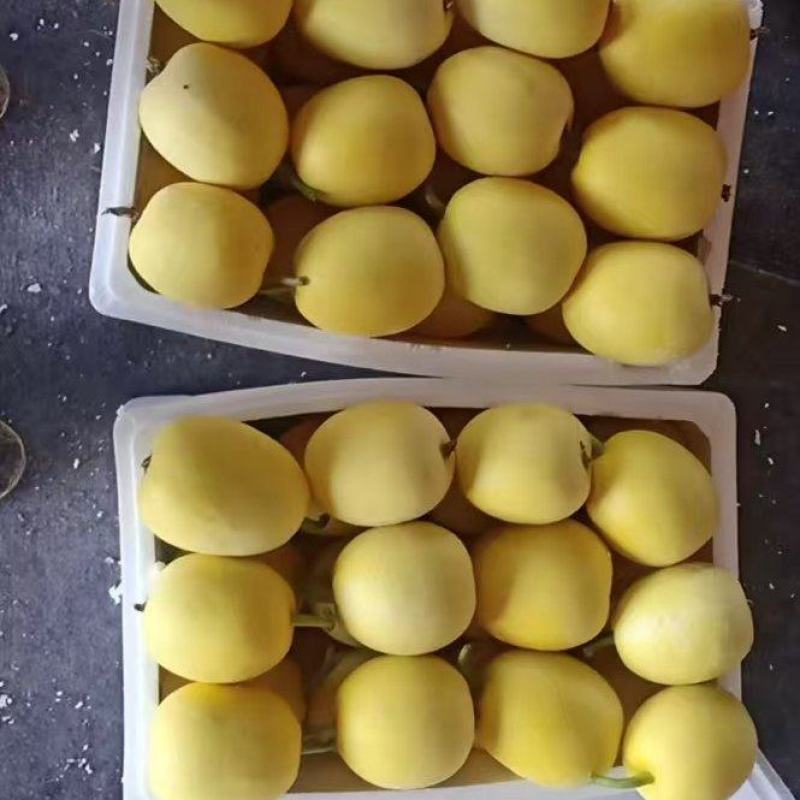 星甜二十，口感好，糖度高表光亮干净