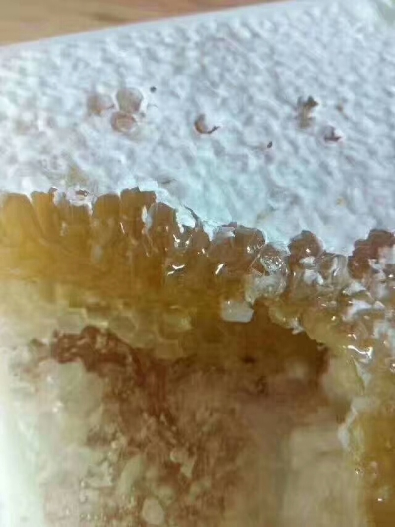 深山百花蜜农家自产纯正天然土蜂蜜