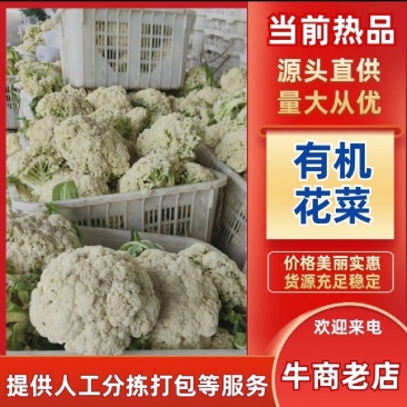 【实力商家】产地直发【保质保量】量大从优【诚信经营】菜花