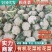 【实力商家】产地直发【保质保量】量大从优【诚信经营】菜花